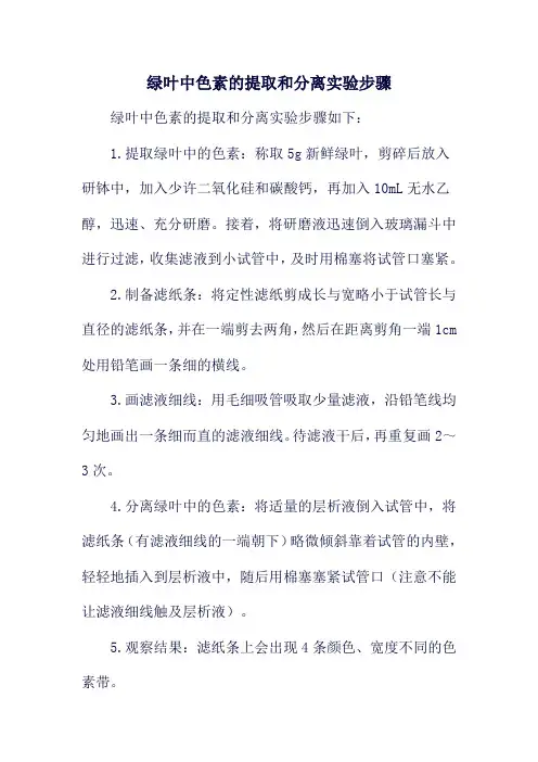 绿叶中色素的提取和分离实验步骤