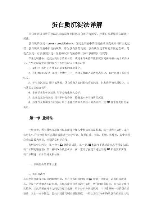 蛋白质沉淀法详解