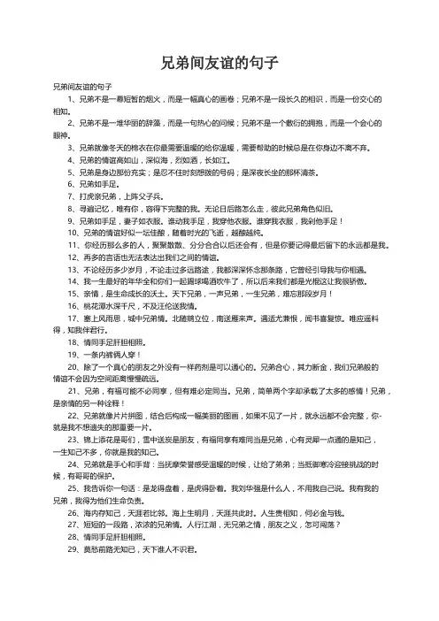 兄弟间友谊的句子