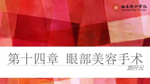 美容外科整形手术-眼部分(重睑、内眦、上睑下垂、眼袋) 