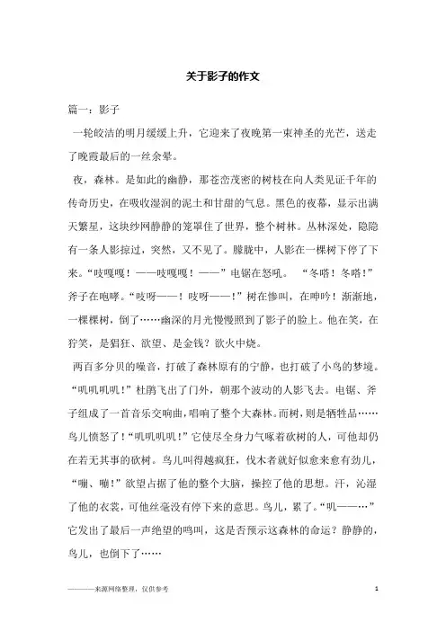 关于影子的作文
