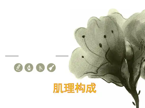 肌理构成