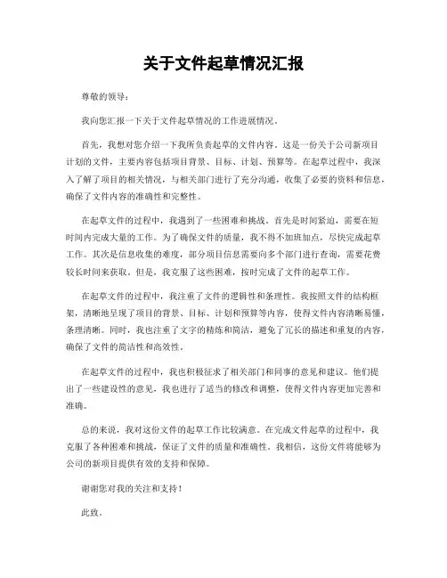关于文件起草情况汇报