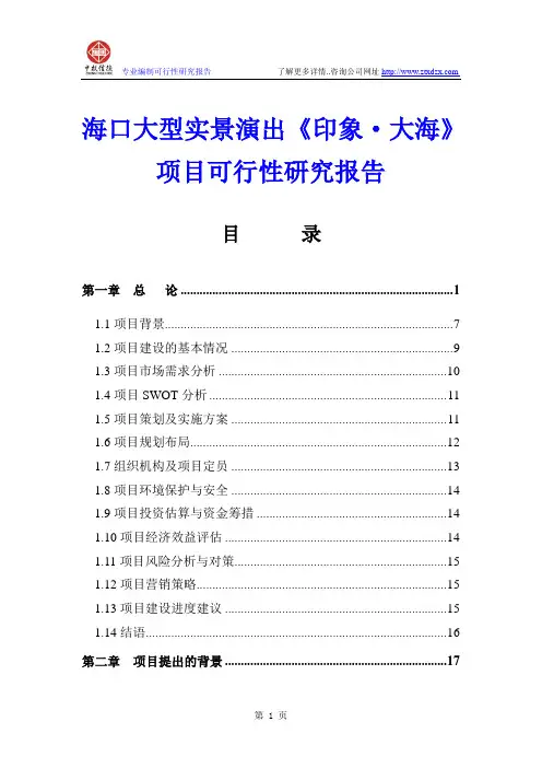 海口大型实景演出《印象·大海》项目可行性研究报告