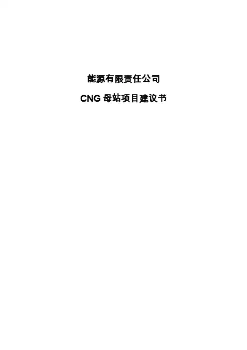 50万方CNG母站项目建议书