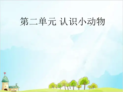一年级上册科学课件 兔子 大象版1
