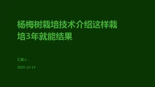 杨梅树栽培技术介绍这样栽培3年就能结果