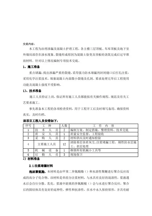 项目渗水堵漏专项技术交底