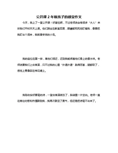 公开课2年级孩子的感受作文