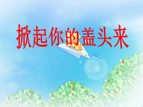 《掀起你的盖头来》PPT  图文