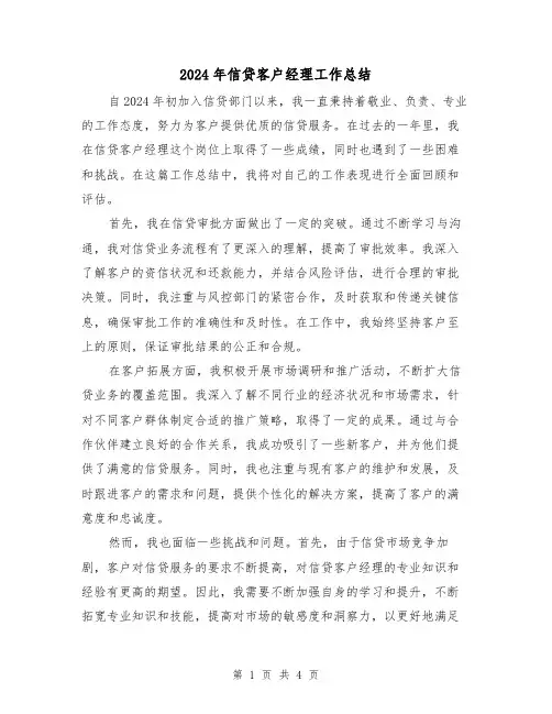 2024年信贷客户经理工作总结(2篇)