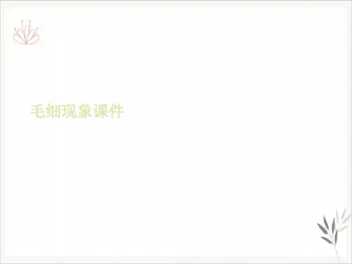 毛细现象PPT课件