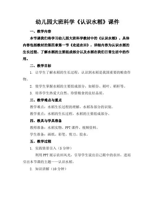 幼儿园大班科学《认识水稻》课件(2)