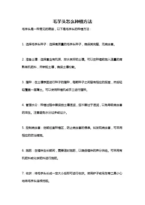 毛芋头怎么种植方法