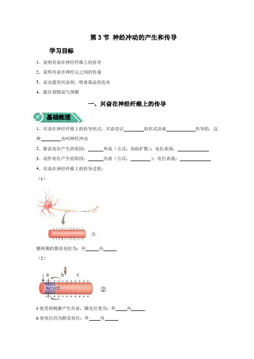 2020-2021学年高中生物人教版选择性必修一学案：2.3神经冲动的产生和传导