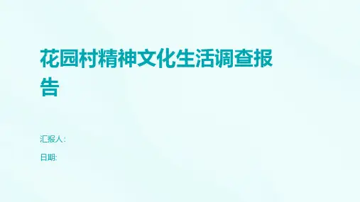 花园村精神文化生活调查报告