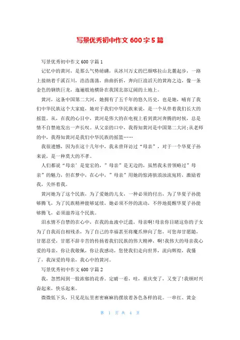 写景优秀初中作文600字5篇