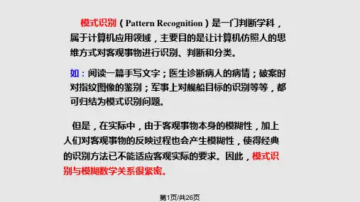 模糊模式识别的方法PPT课件