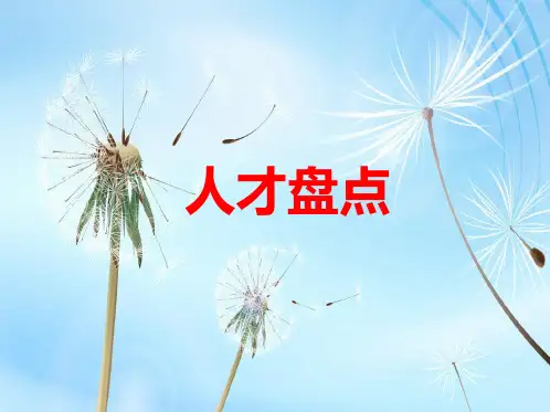 人才盘点PPT