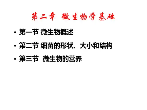 生物选矿技术 第二章 微生物学基础