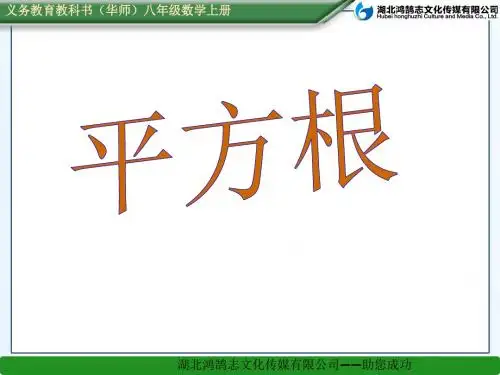11.1 平方根2