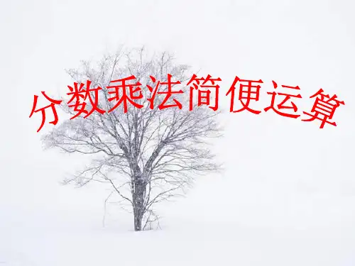 人教版六年级下册数学课件 分数乘法简便运算 (共22张PPT)