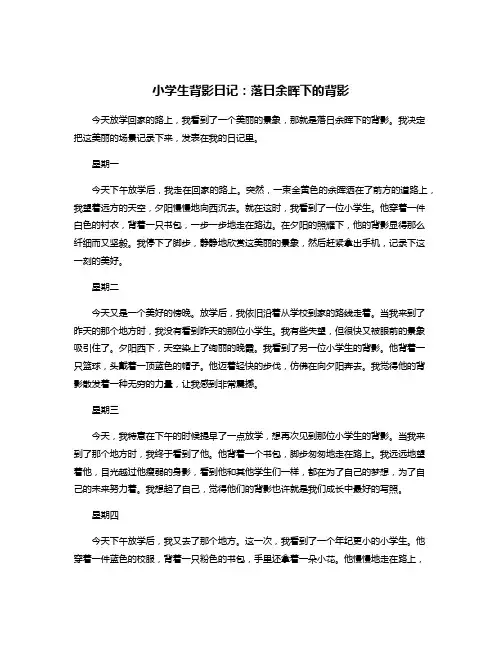 小学生背影日记：落日余晖下的背影
