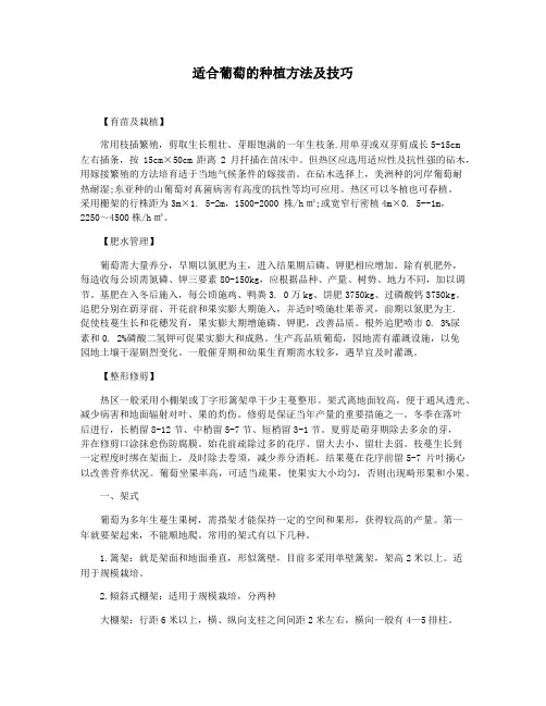 适合葡萄的种植方法及技巧