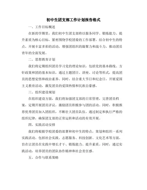 初中生团支部工作计划报告格式