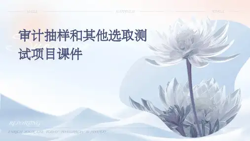 审计抽样和其他选取测试项目课件