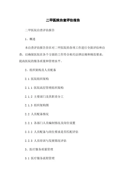 二甲医院自查评估报告