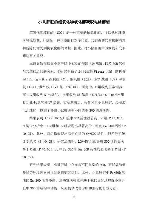 小鼠肝脏的超氧化物歧化酶凝胶电泳酶谱