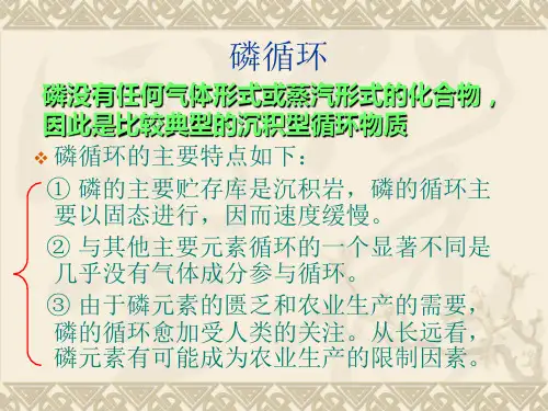 生态学沉积型循环