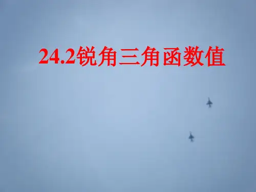 沪科版数学九年级上册 23.1 锐角三角函数  课件(共13张PPT)