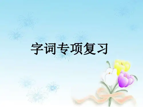 六年级下册语文课件：字词复习专项部编版(共13张PPT)