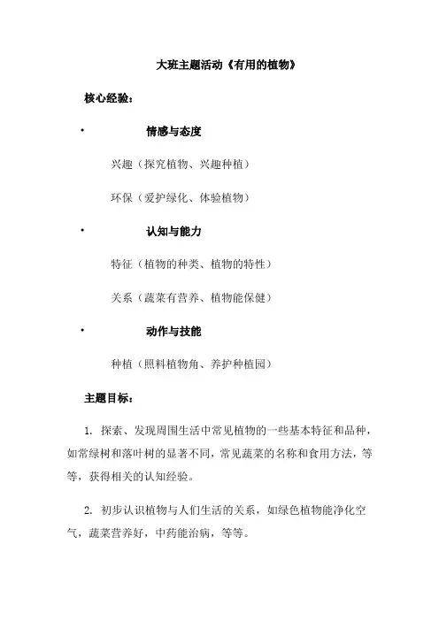 大班主题活动《有用的植物》