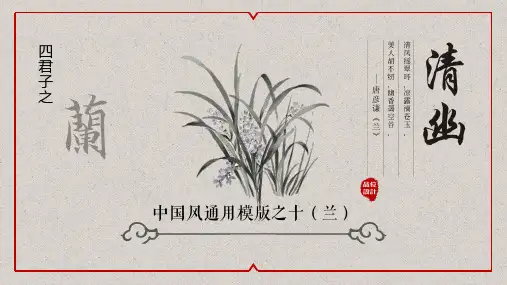 中国风四君子之兰