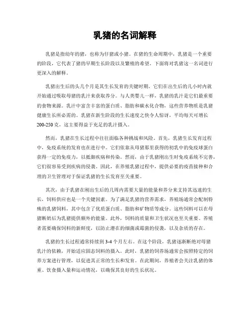 乳猪的名词解释