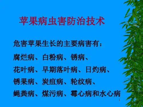 苹果病虫害防治技术(有图谱)PPT演示课件