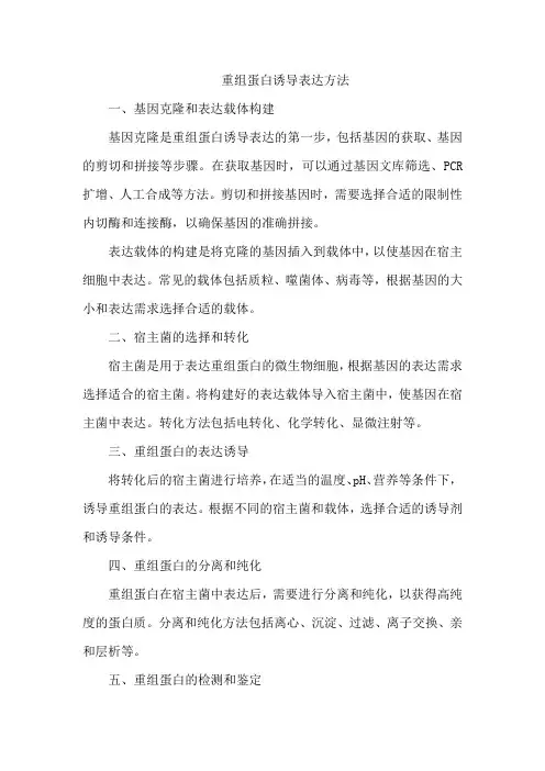 重组蛋白诱导表达方法