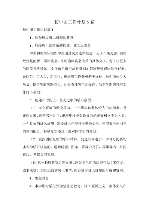 初中团工作计划5篇