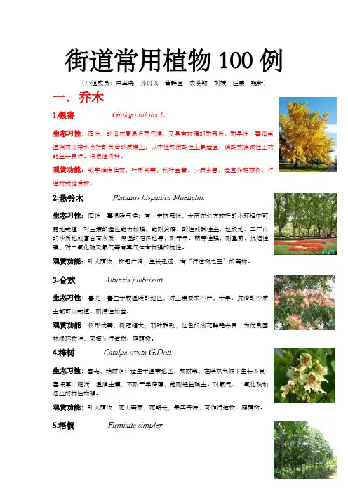 街道常用植物100例1