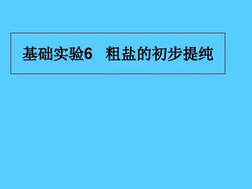 沪教版初中化学九下 第6章  基础实验6  粗盐的初步提纯  课件PPT