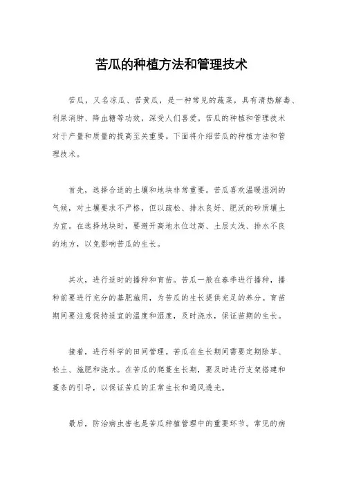 苦瓜的种植方法和管理技术