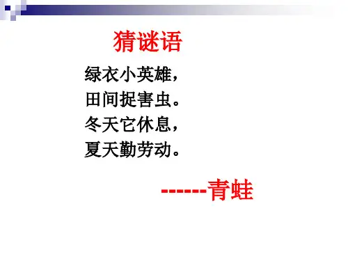 人教版生物八下7.两栖动物的生殖和发育课件(共19张)