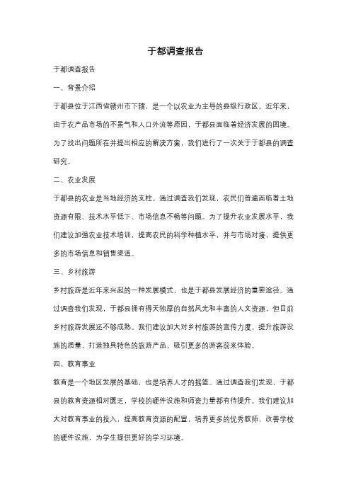 于都调查报告