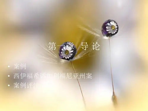 国际法学PPT教学课件