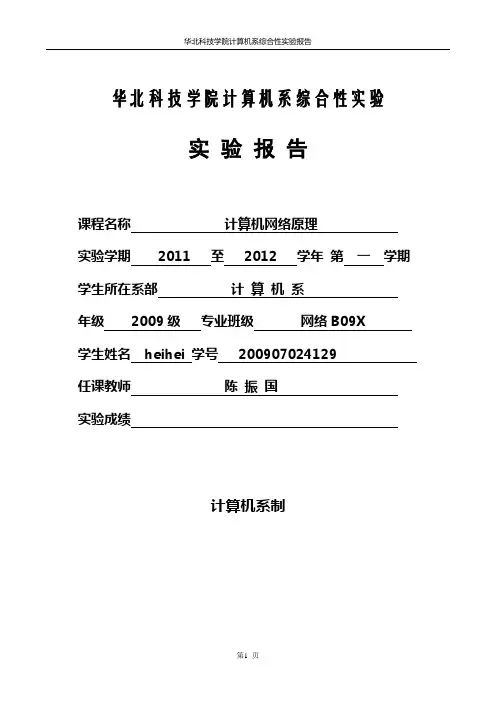 网络原理综合实验报告