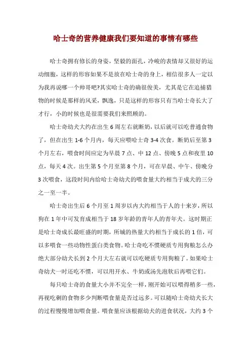 哈士奇的营养健康我们要知道的事情有哪些