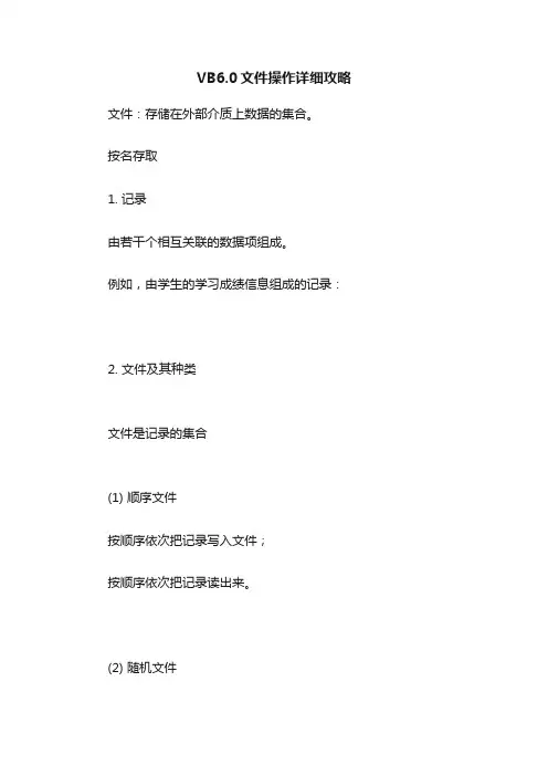 VB6.0文件操作详细攻略